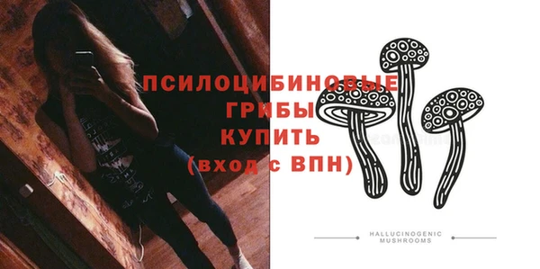 тгк Осинники