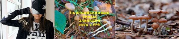 ALPHA-PVP Нязепетровск