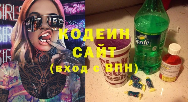 ешки Няндома