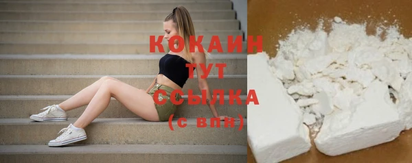 ешки Няндома