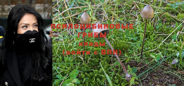 ешки Няндома