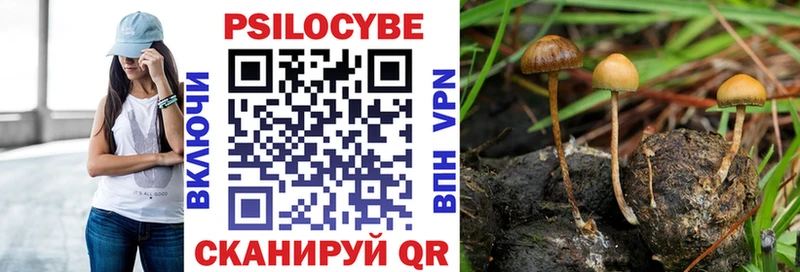 Псилоцибиновые грибы мицелий  Новотроицк 