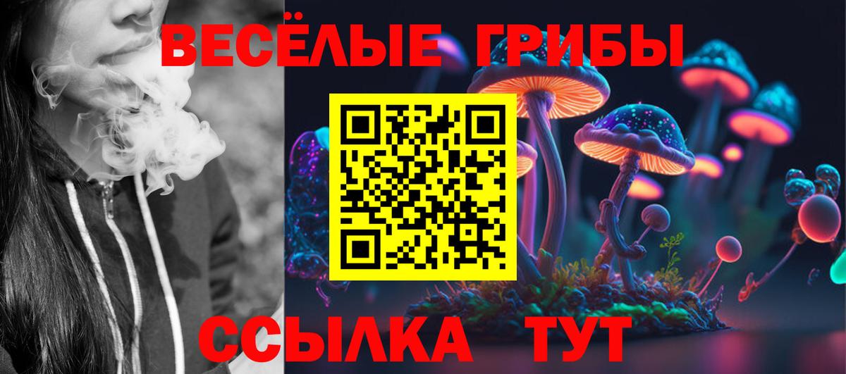 Псилоцибиновые грибы мицелий  Вход с VPN  Галлюциногенные грибы ЛСД  Новотроицк 