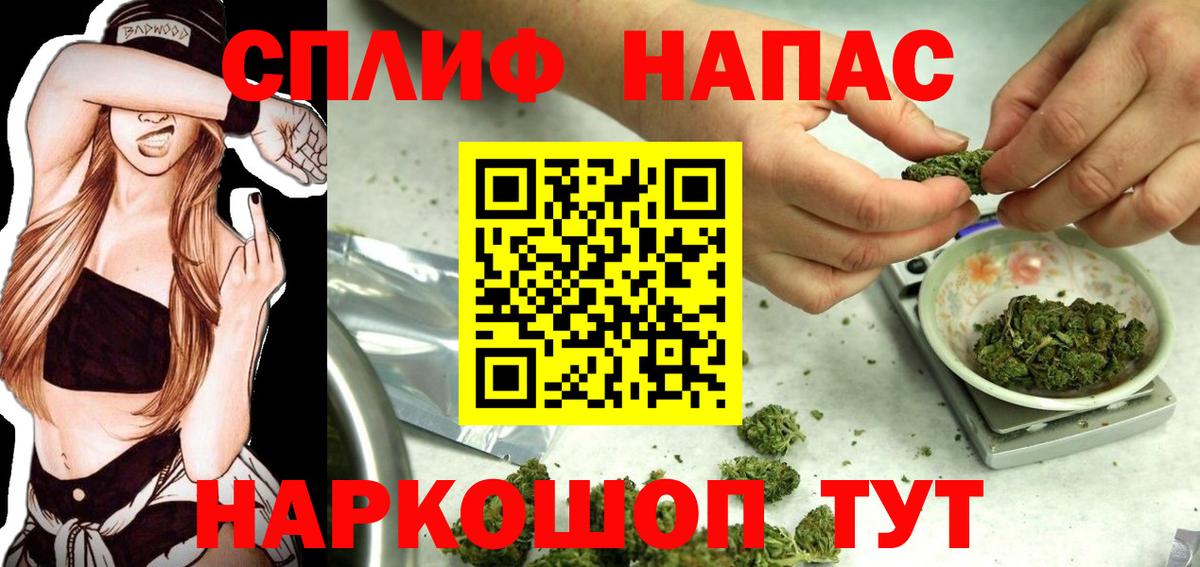 Шишки марихуана планчик  Шишки марихуана конопля  Марихуана LSD WEED  Вход с VPN  Новотроицк 